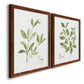 Herb Sage - Premium Framed Canvas 2 Piece Set - Ready to Hang