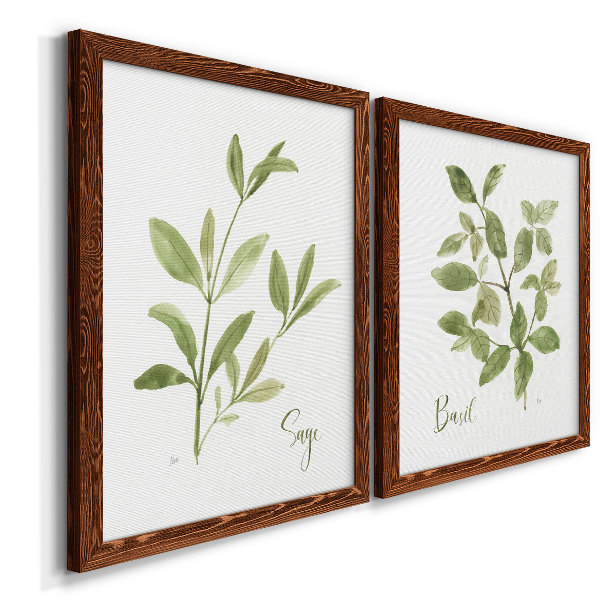 Herb Sage - Premium Framed Canvas 2 Piece Set - Ready to Hang