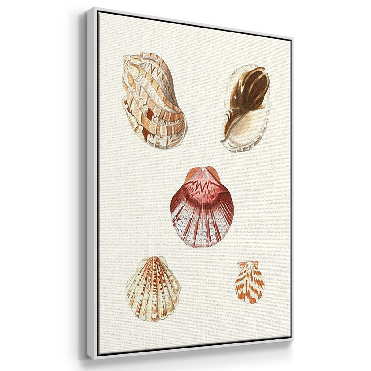 Pastel Knorr Shells IV - Framed Premium Gallery Wrapped Canvas L Frame 3 Piece Set - Ready to Hang