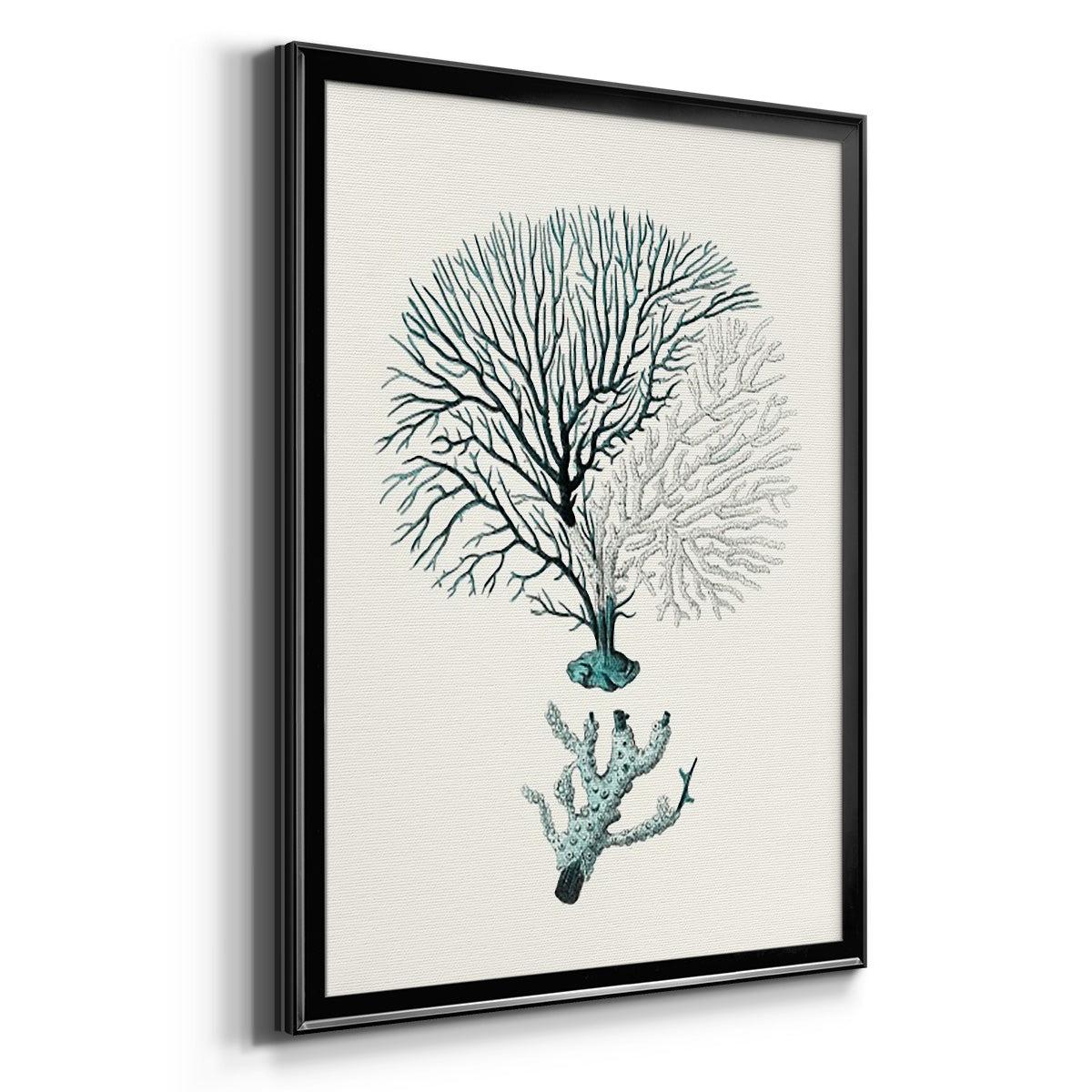 Antique Coastal Coral III - Modern Framed Canvas Print