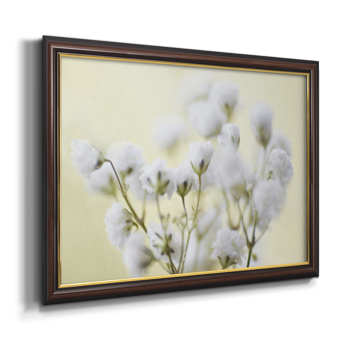 Baby's Breath Study IV Premium Framed Canvas- Ready to Hang