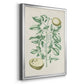 Buchoz Tropicals III - Modern Framed Canvas Print