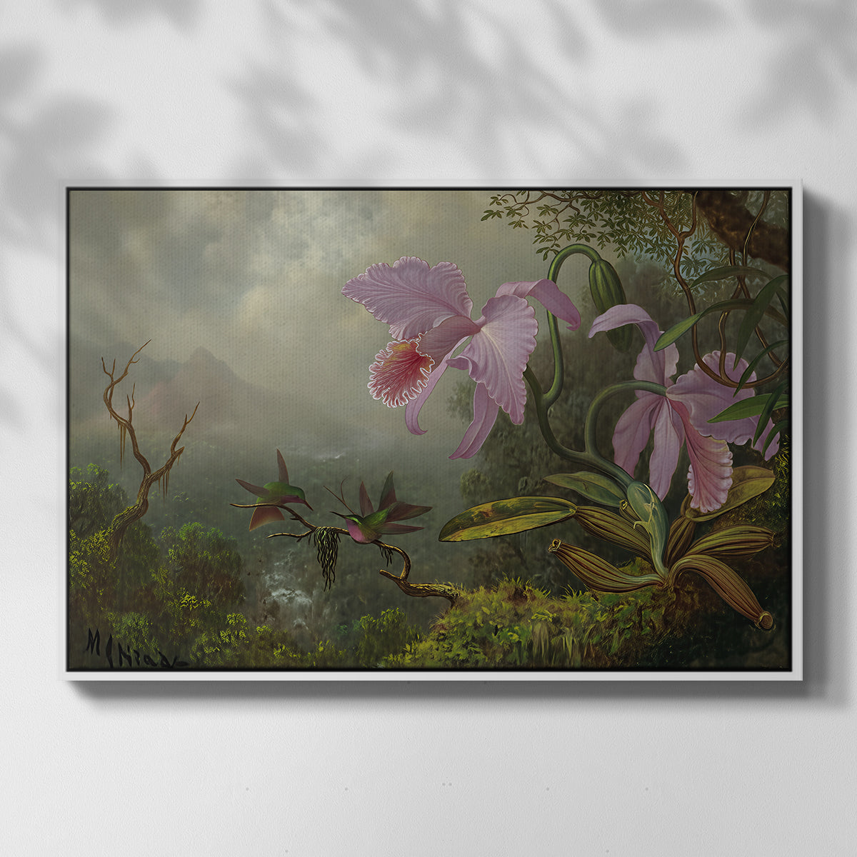 Two Sun Angel Hummingbirds on a Branch, c. 1890-1904 - Floater Framed Canvas Print