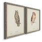 Scops- Eared Owl - Premium Framed Canvas 2 Piece Set - Ready to Hang