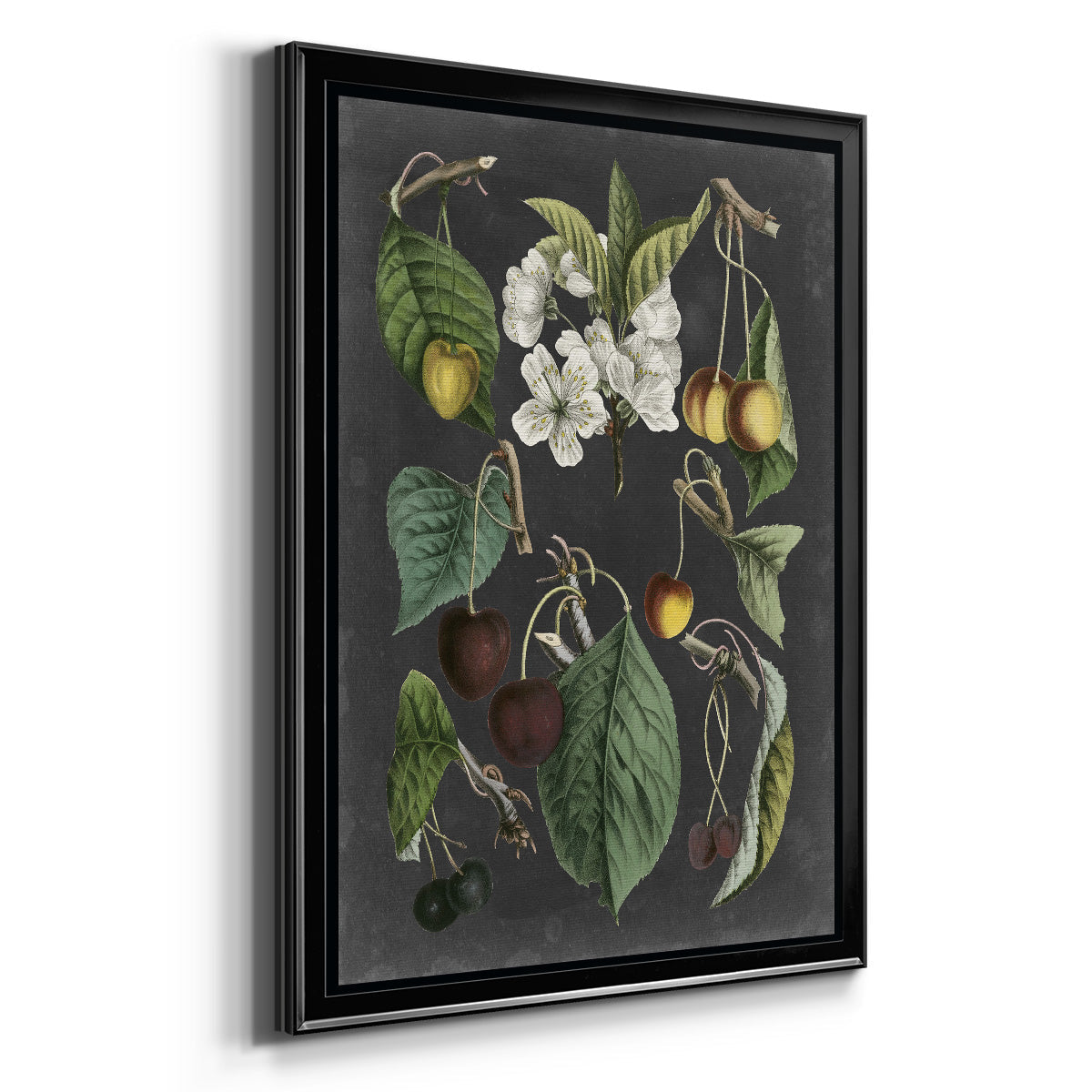 Orchard Varieties II - Modern Framed Canvas Print