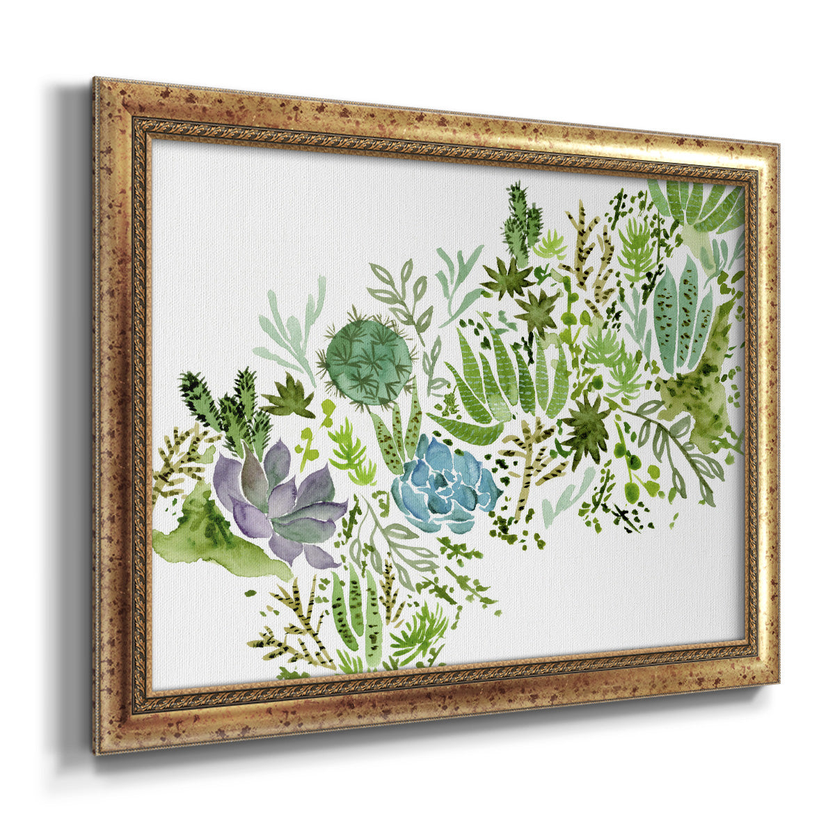 Succulent Field I Premium Framed Canvas- Ready to Hang