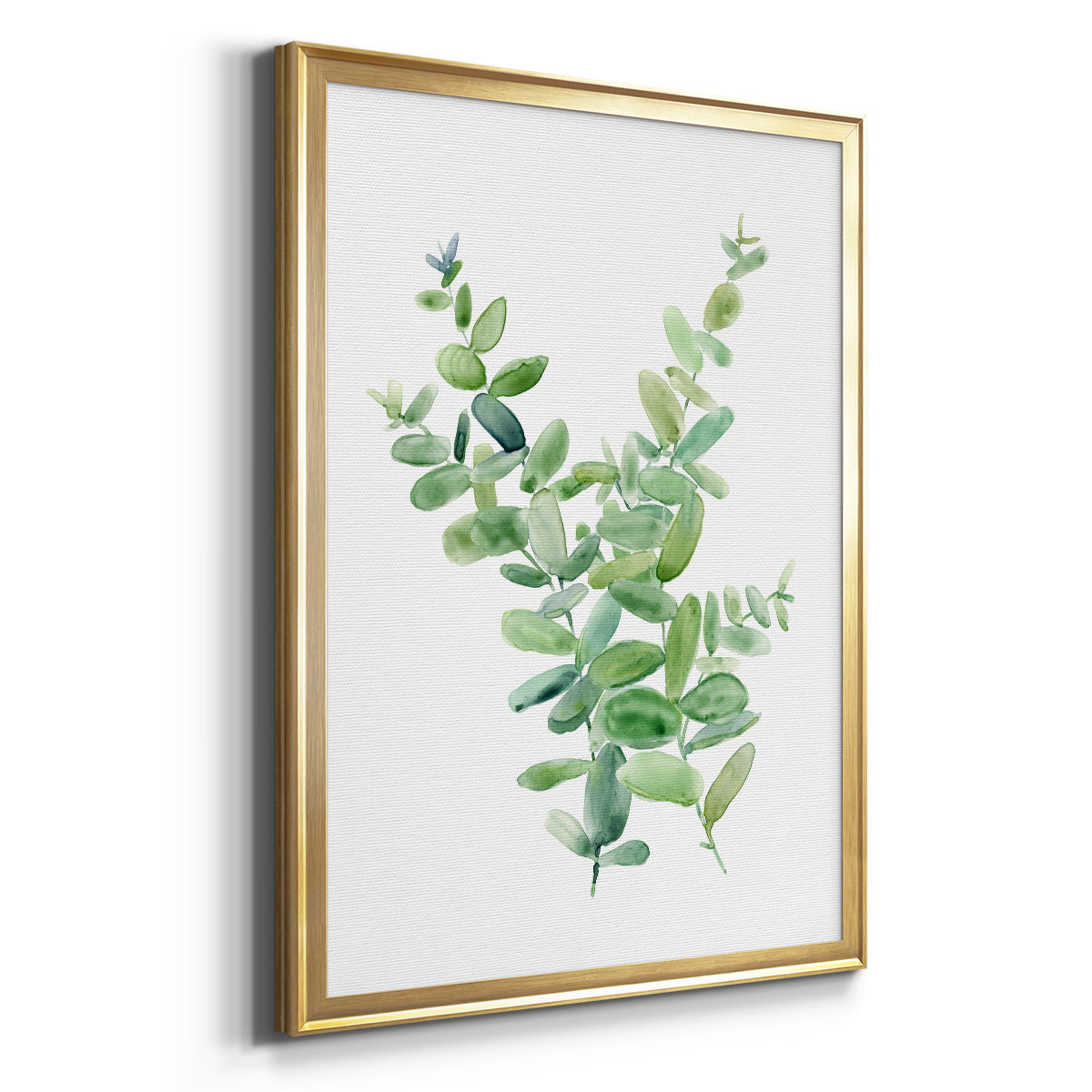 Eucalyptus III - Modern Framed Canvas Print