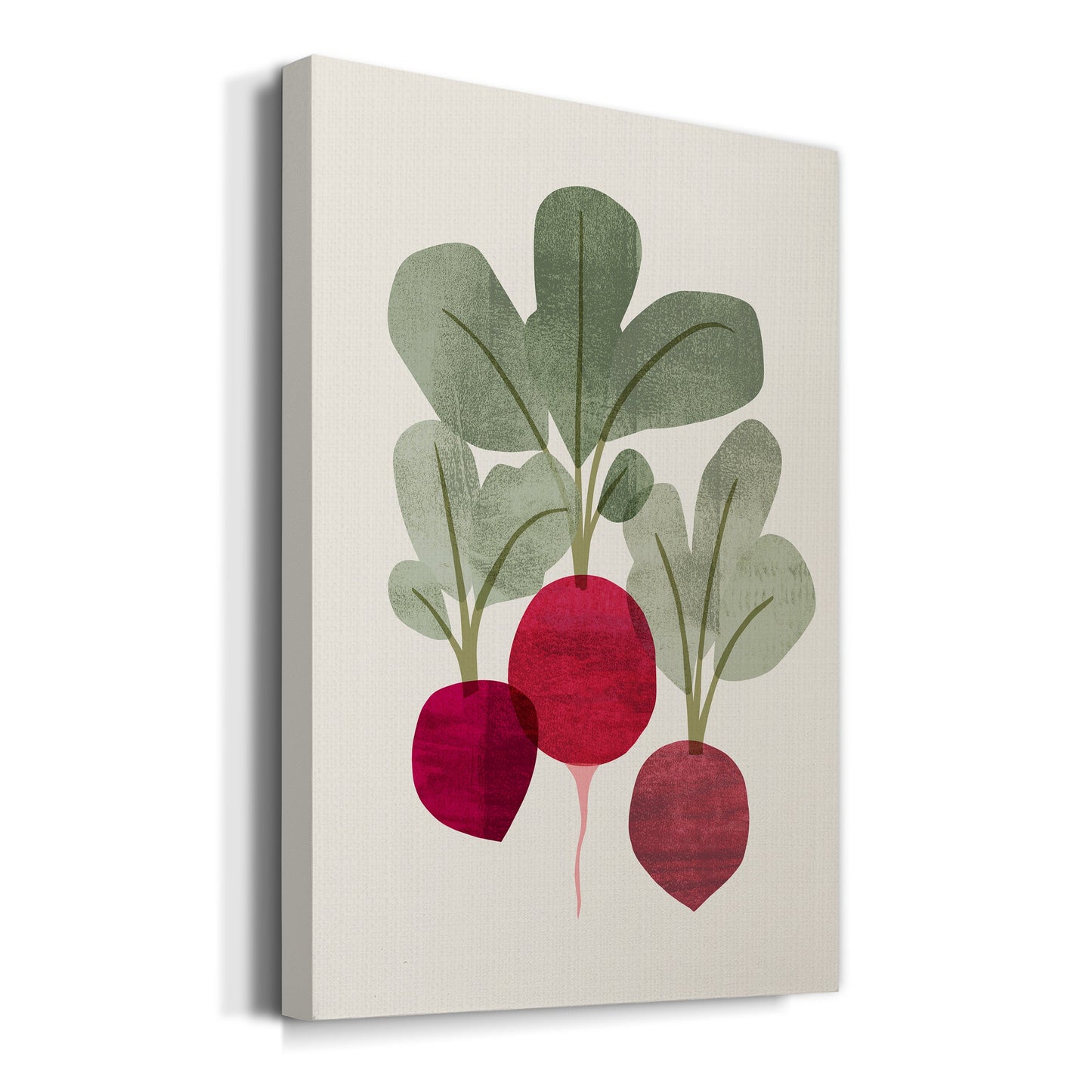 Organic Veg I Premium Gallery Wrapped Canvas - Ready to Hang