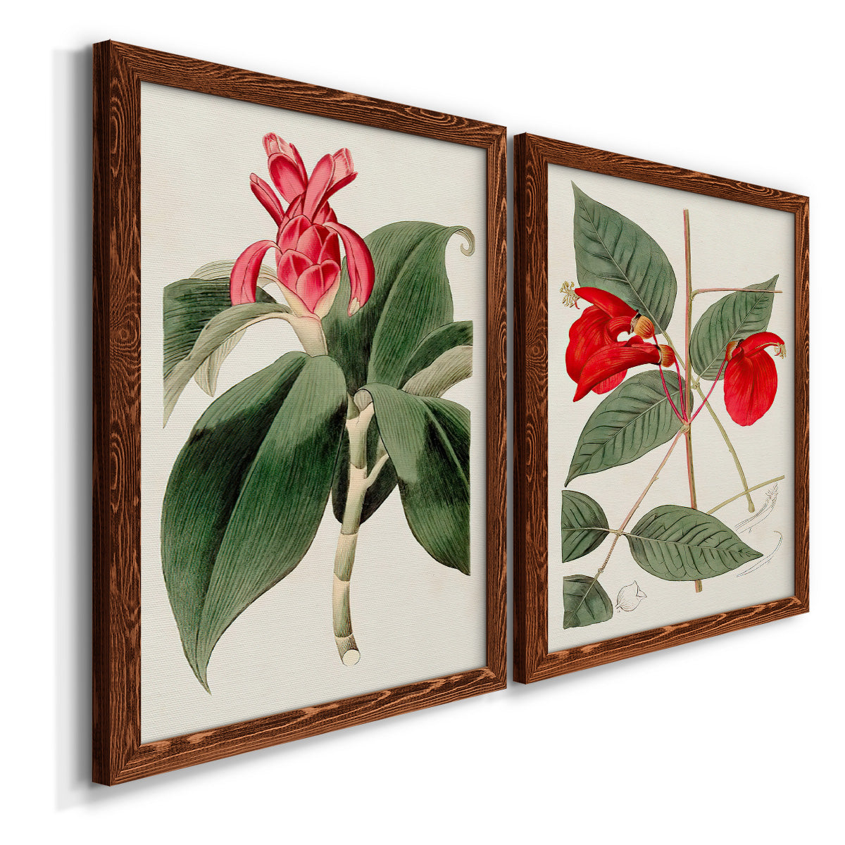 Flora of the Tropics I - Barnwood Framed Canvas Set