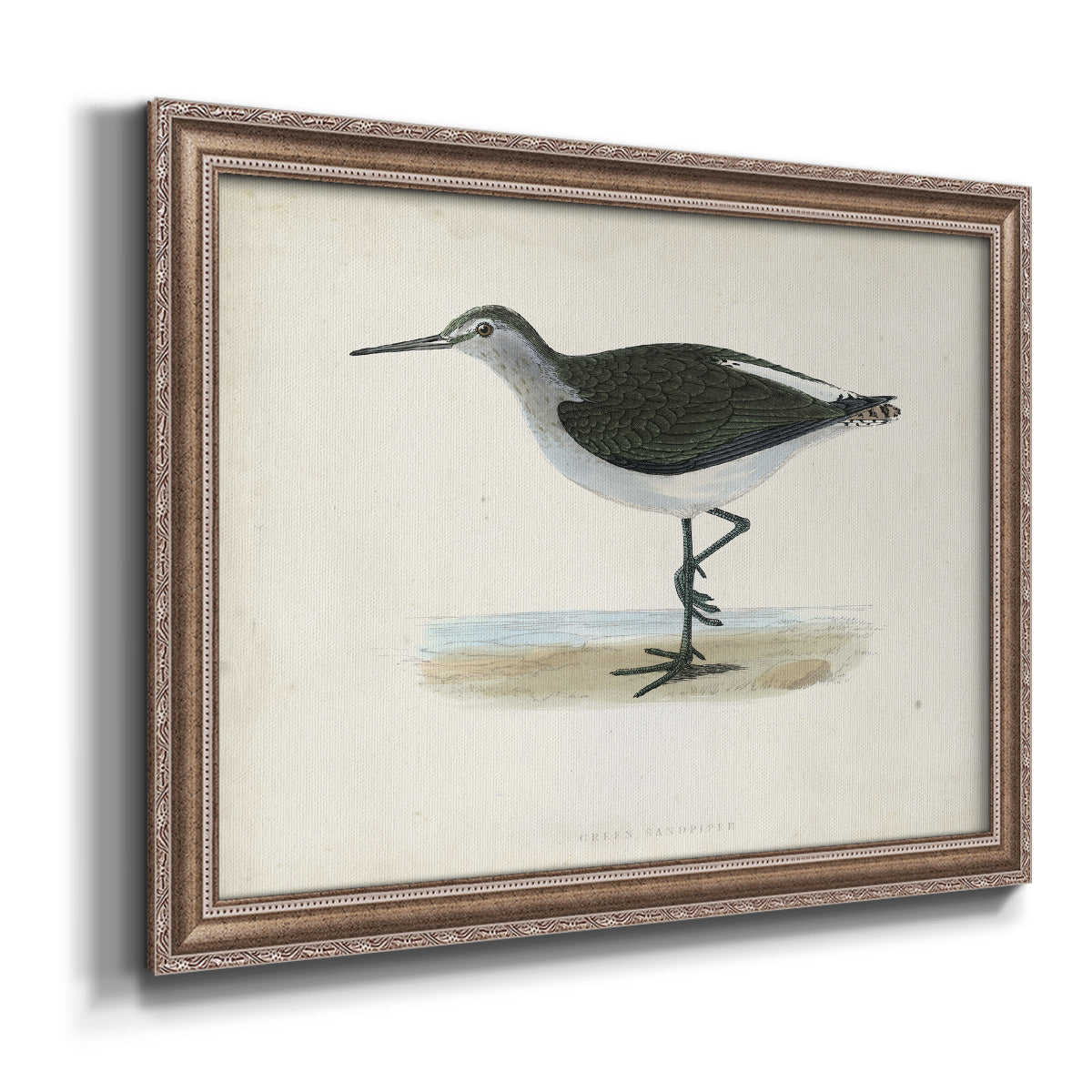 Morris Sandpipers VI Premium Framed Canvas- Ready to Hang