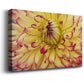 Blooms II Premium Gallery Wrapped Canvas - Ready to Hang