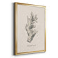 Shore Treasure Study II - Modern Framed Canvas Print