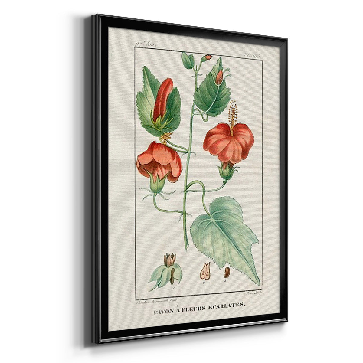 Turpin Tropical Botanicals IV - Modern Framed Canvas Print