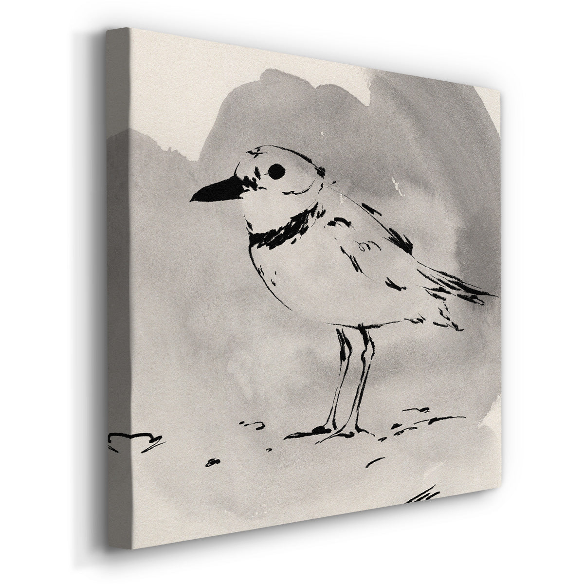 Inky Plover II - Canvas Art Print