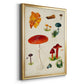 Mushroom Species VIII - Modern Framed Canvas Print