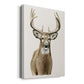 Handsome Whitetail II - Canvas Art Print