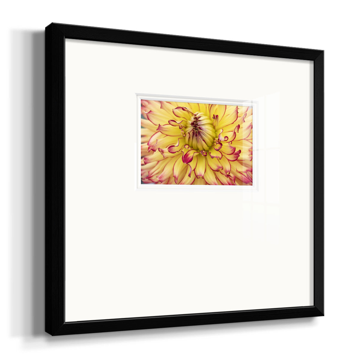 Blooms II Premium Framed Print Double Matboard