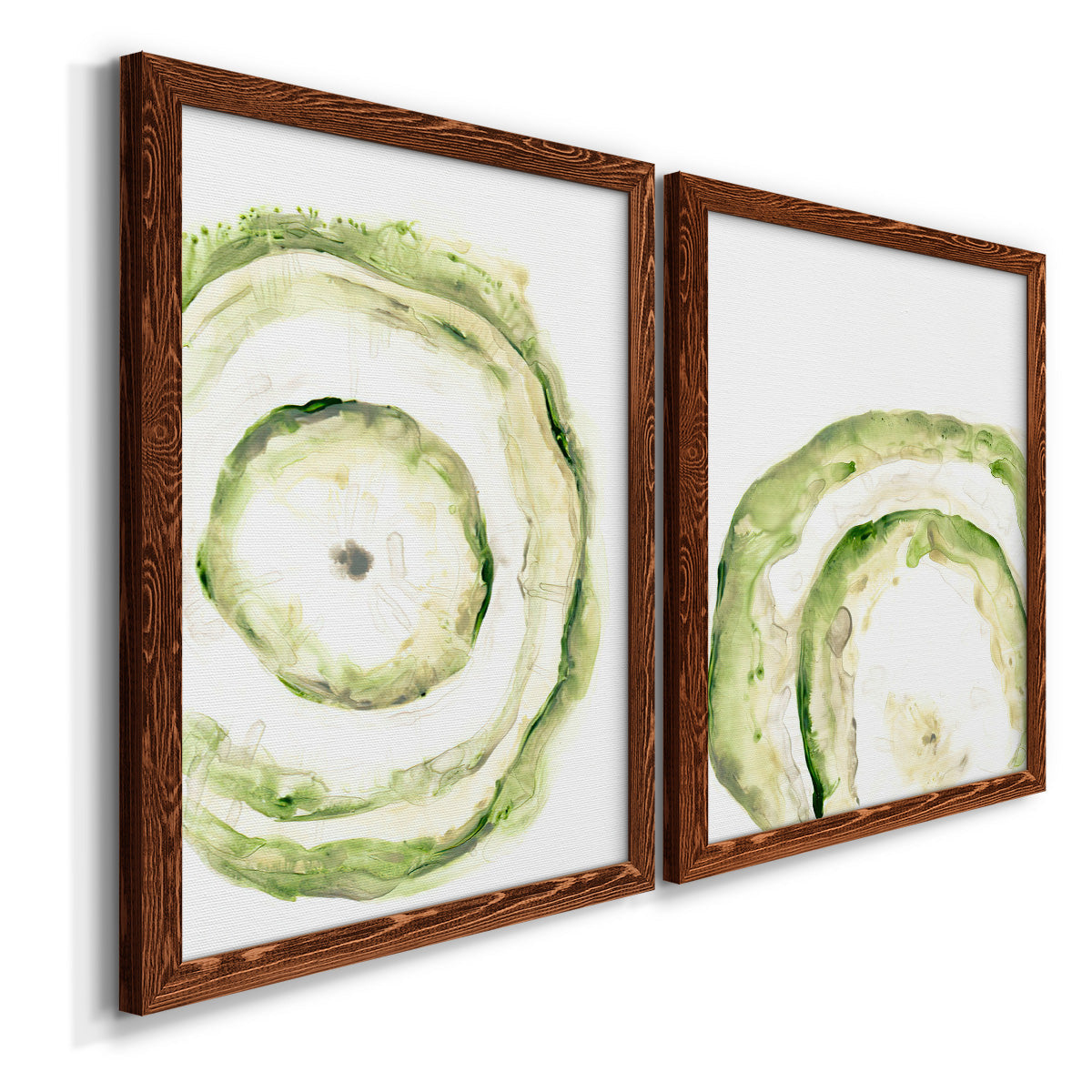 Lichen Halo III - Premium Framed Canvas 2 Piece Set - Ready to Hang