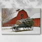Golden Whisper of Midwinter - Canvas Art Print