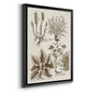 Sepia Botanical Journal VII - Modern Framed Canvas Print