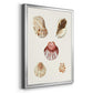 Pastel Knorr Shells V - Modern Framed Canvas Print