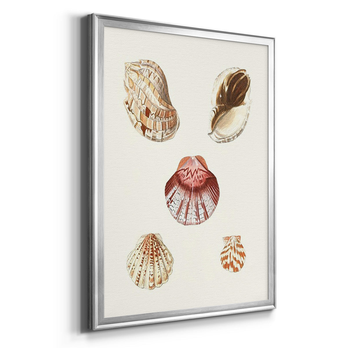 Pastel Knorr Shells V - Modern Framed Canvas Print