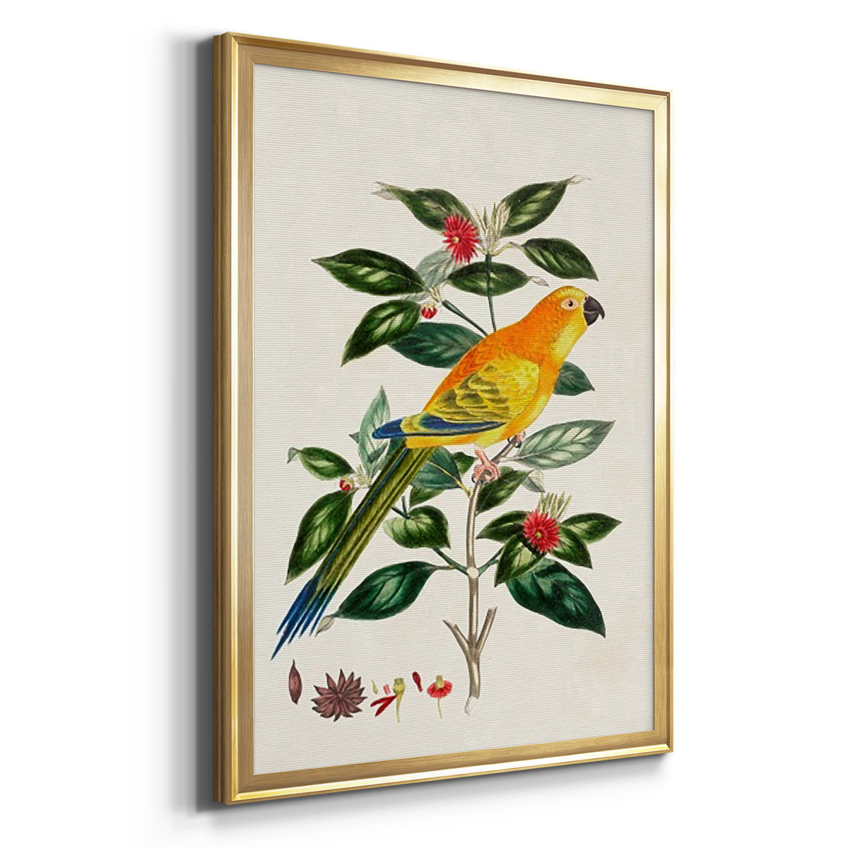 Bird in Habitat V - Modern Framed Canvas Print