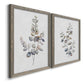 Eucalyptus I - Premium Framed Canvas 2 Piece Set - Ready to Hang