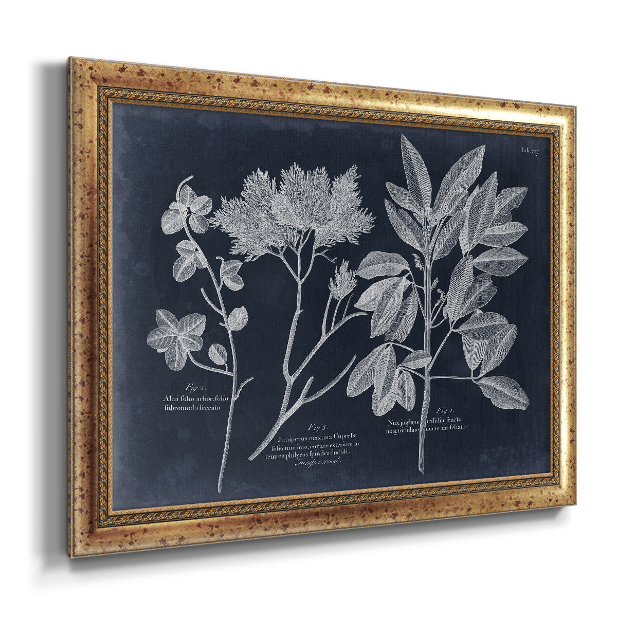 Foliage on Navy VI Premium Framed Canvas- Ready to Hang