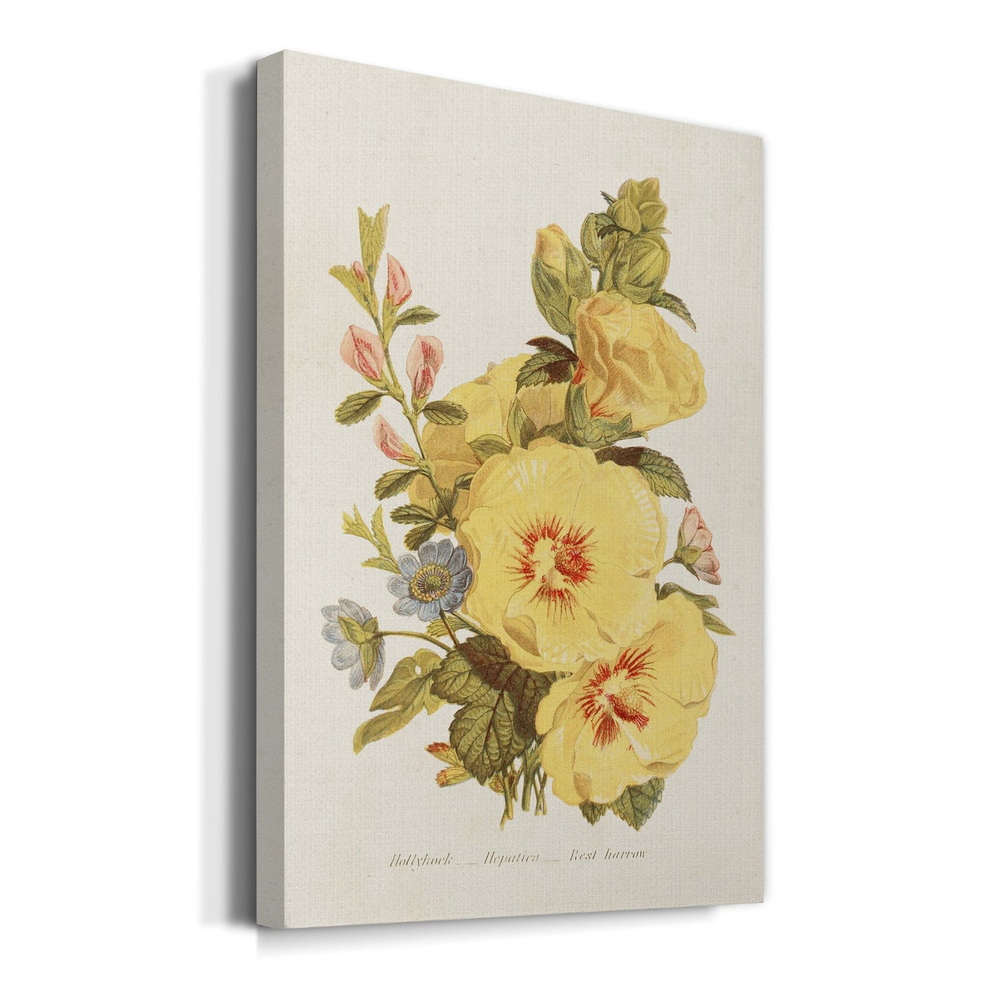 Antique Floral Bouquet VI Premium Gallery Wrapped Canvas - Ready to Hang