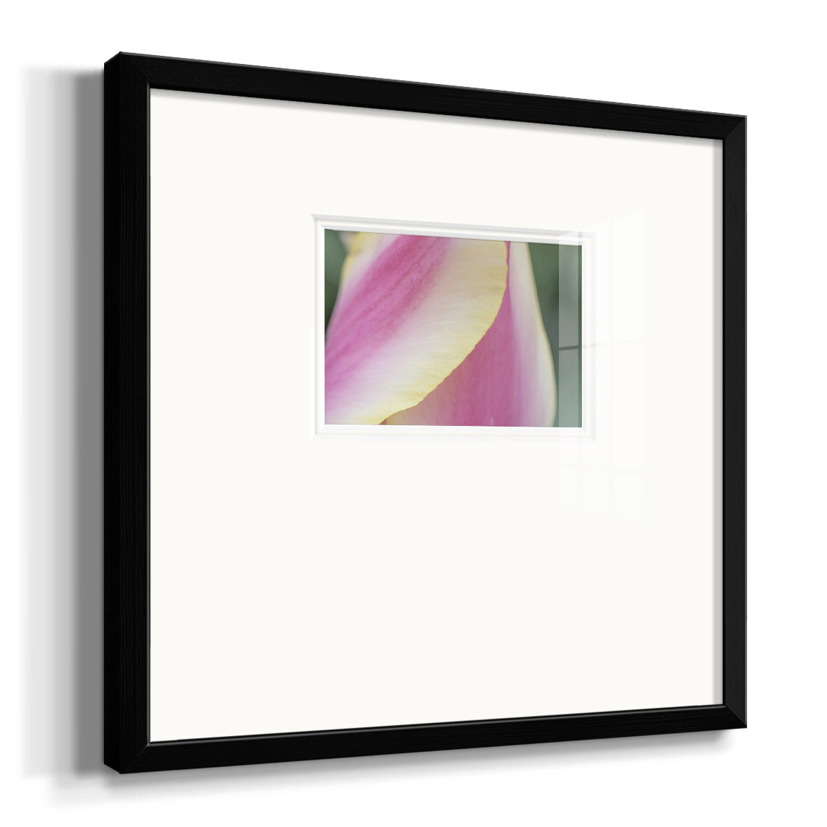 Delicate Premium Framed Print Double Matboard