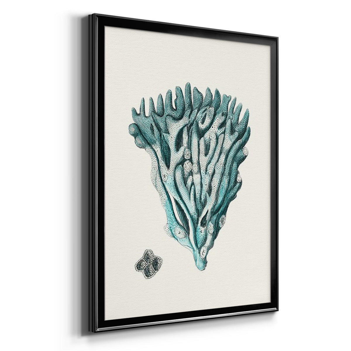 Antique Coastal Coral X - Modern Framed Canvas Print