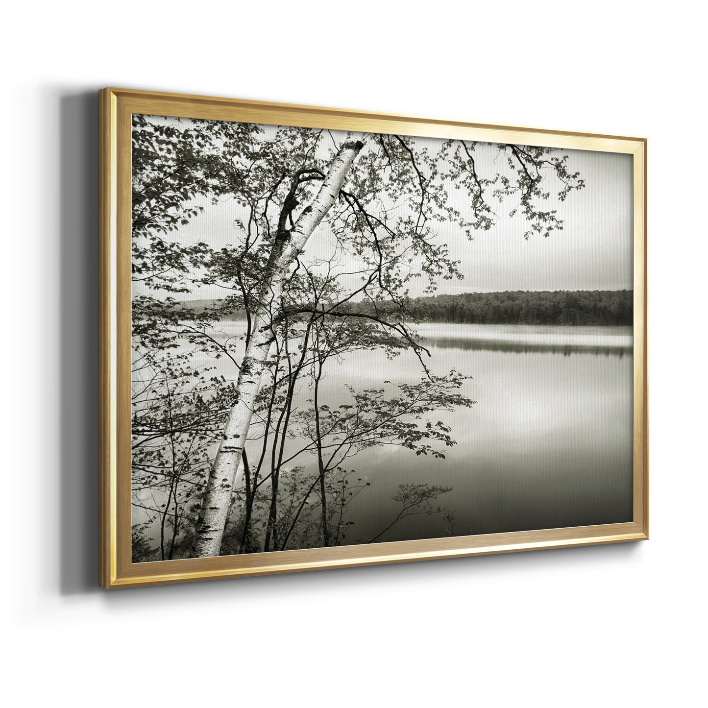 Adirondack Reflections - Modern Framed Canvas Print