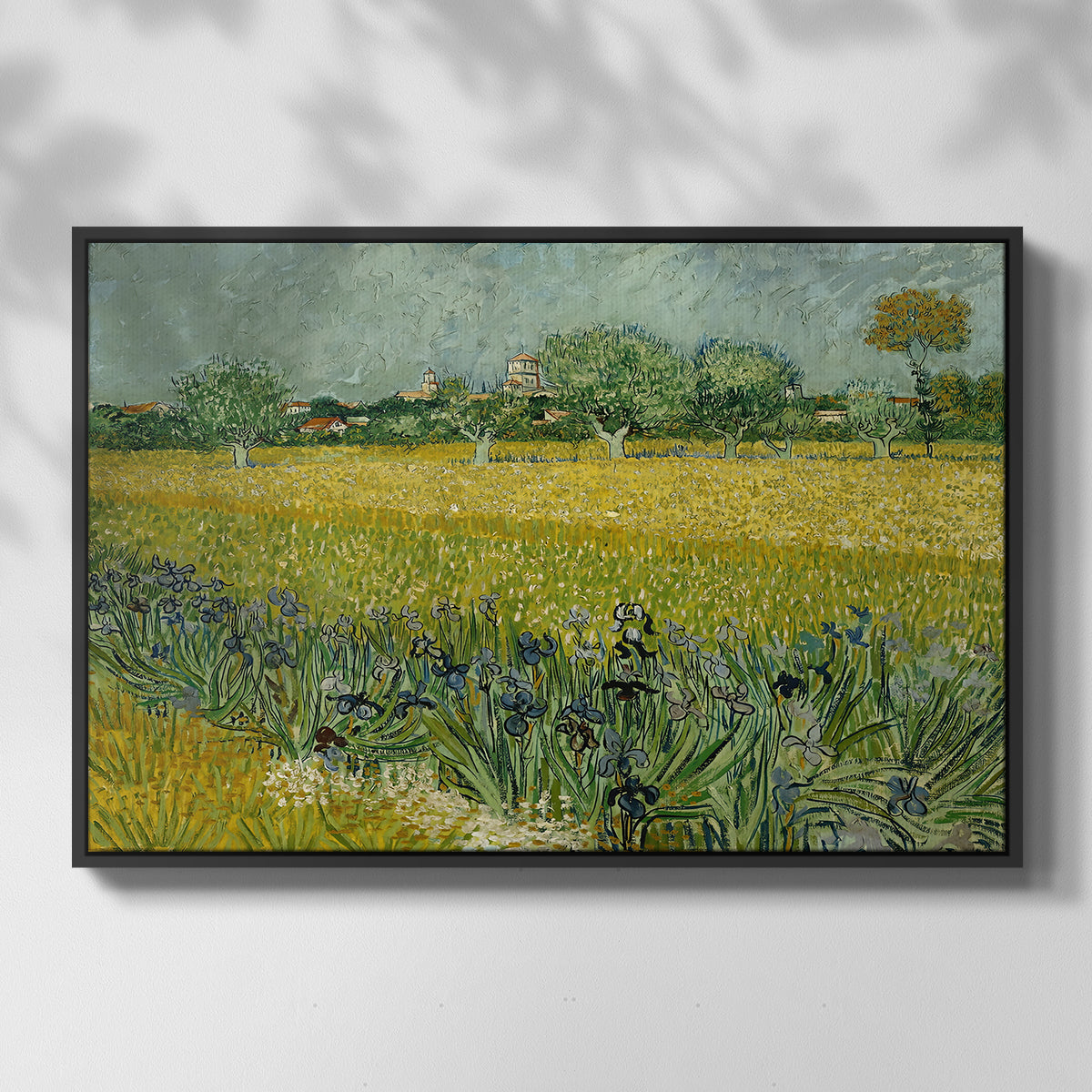 Field with Irises near Arles, 1888 - Floater Framed Canvas Print