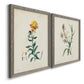 Traditional Botanical III - Barnwood Framed Canvas Set