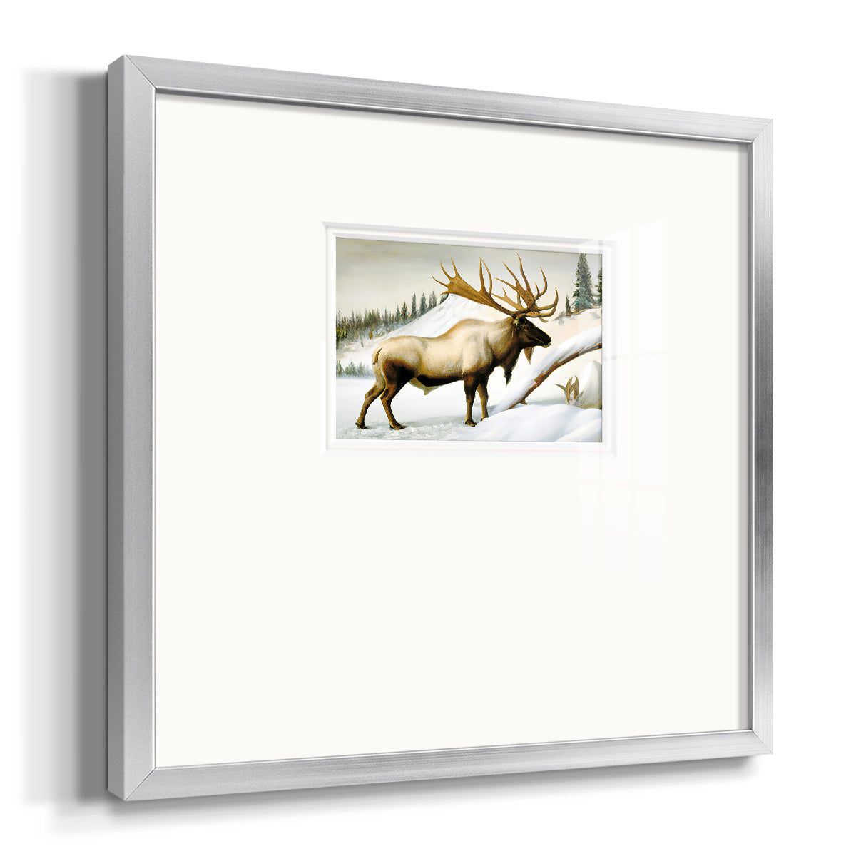 Snow Elk Premium Framed Print Double Matboard