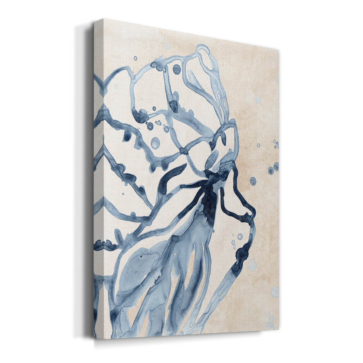 Water Shells I Premium Gallery Wrapped Canvas - Ready to Hang