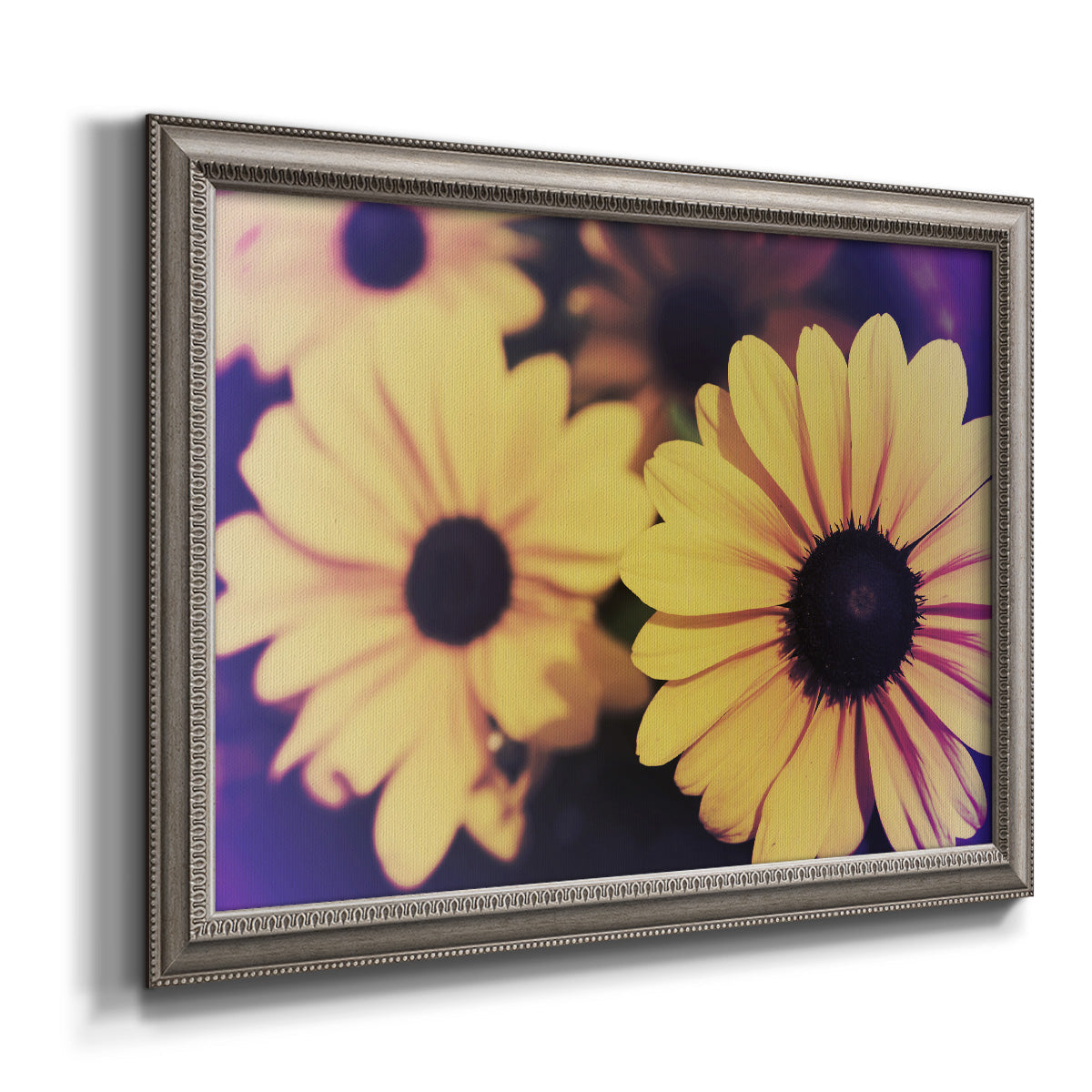 Contemporary yellow Susan floral photograph printed on canvas in an ornate vintage silver frame.