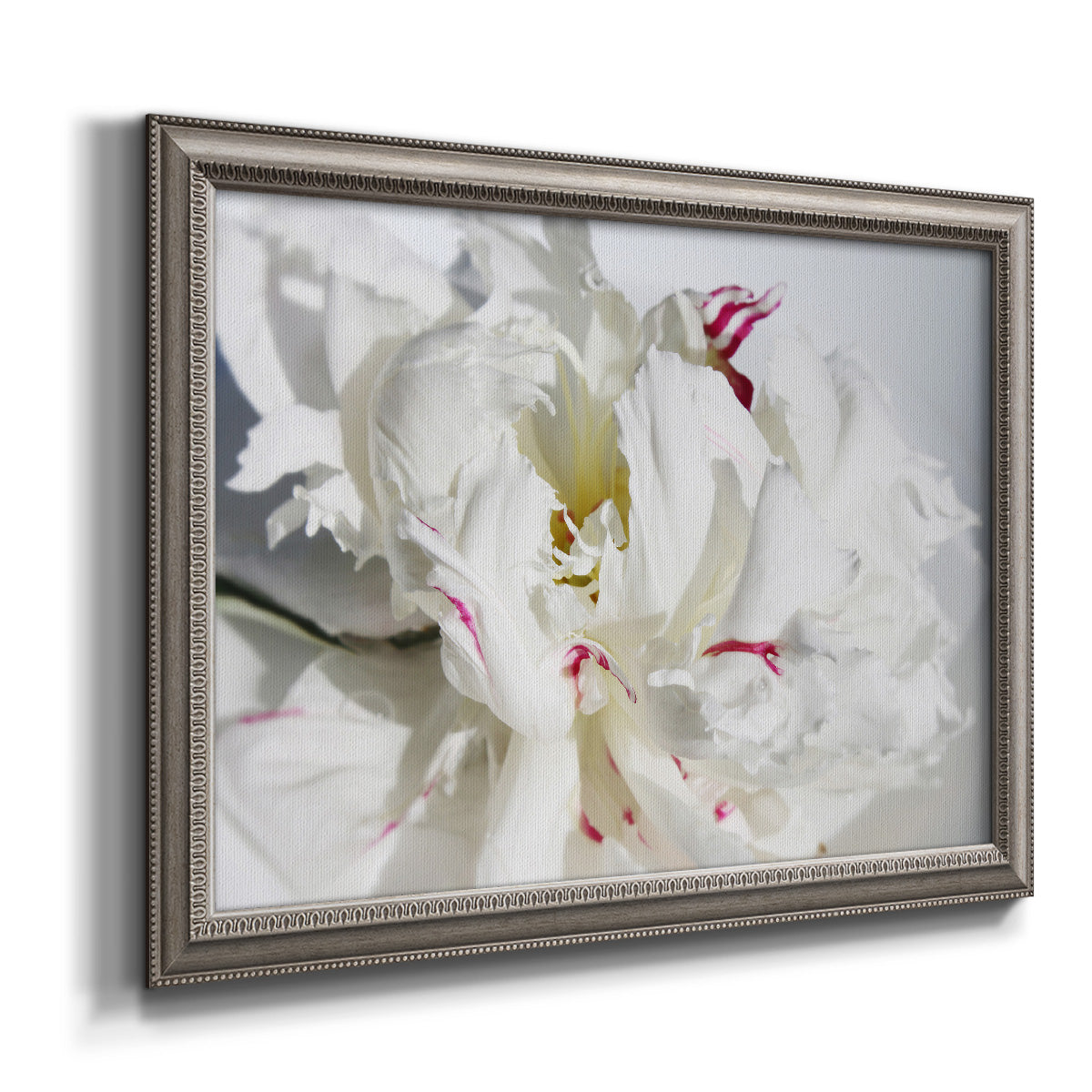 White peony close-up photography printed on canvas in an ornate vintage silver frame.