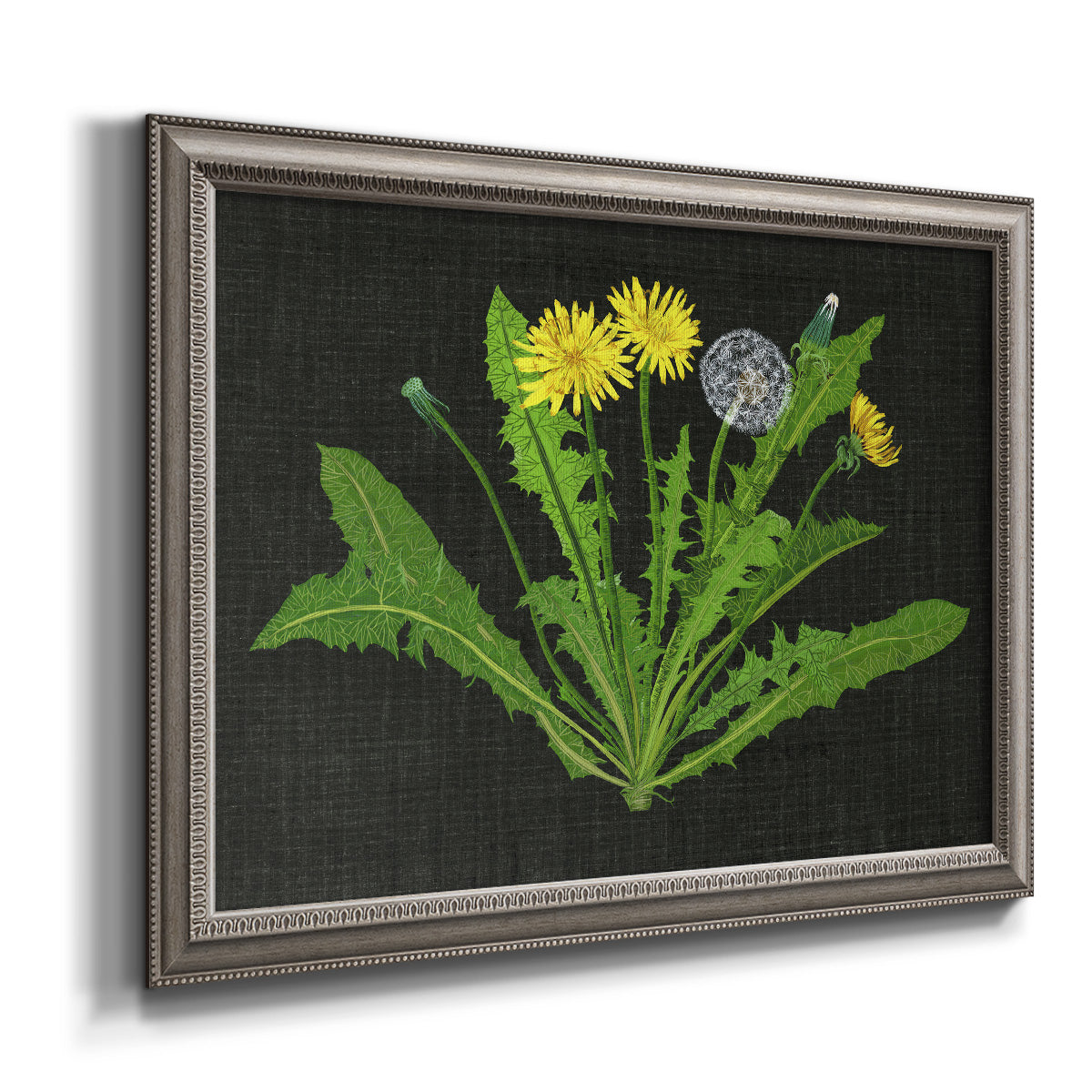 Classic botanical dandelion illustration printed on canvas in an ornate vintage silver frame.