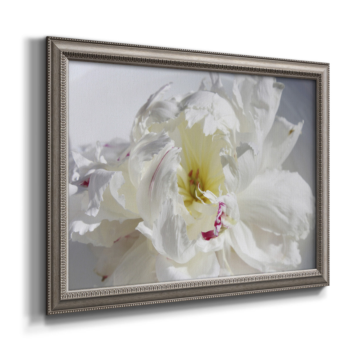 Soft white peony close-up printed on canvas in an ornate vintage silver frame.