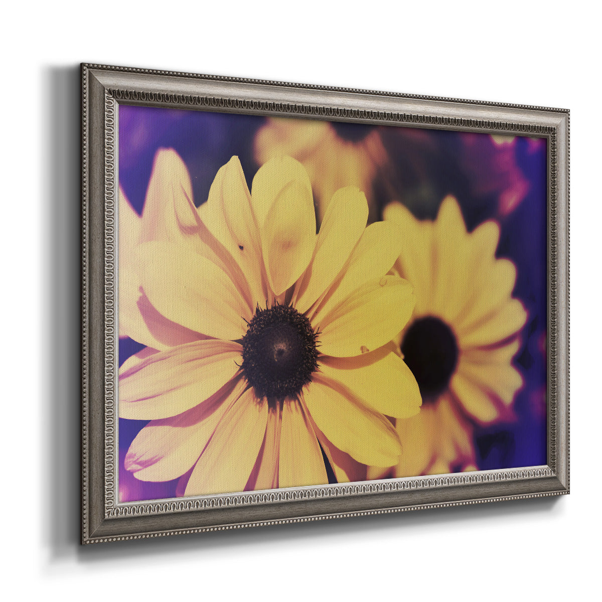 Bright black-eyed Susan flower photography printed on canvas in an ornate vintage silver frame.