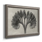 Vintage botanical plant study photograph by Karl Blossfeldt printed on canvas in an ornate vintage silver frame.