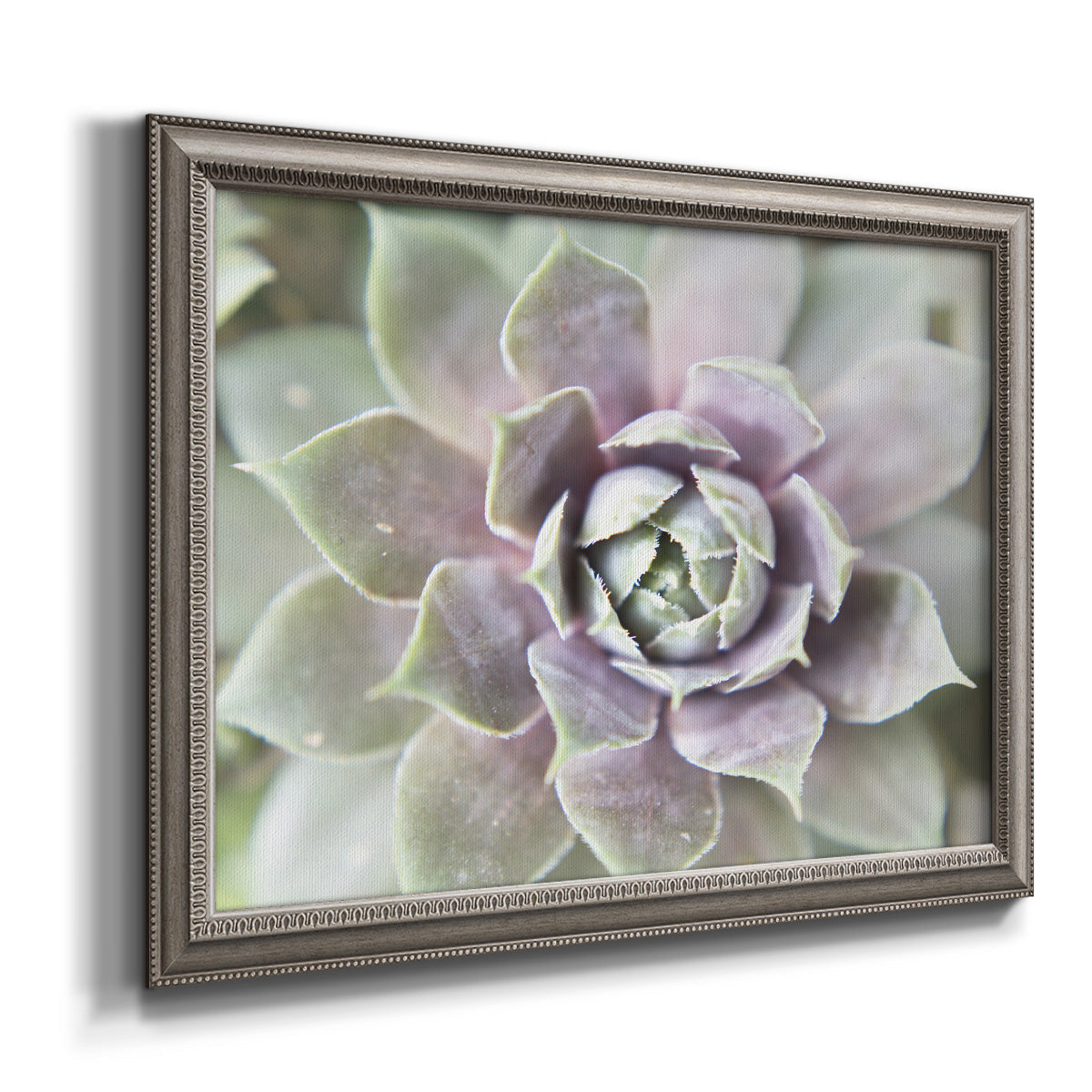 Soft abstract floral botanical photography printed on canvas in an ornate vintage silver frame.