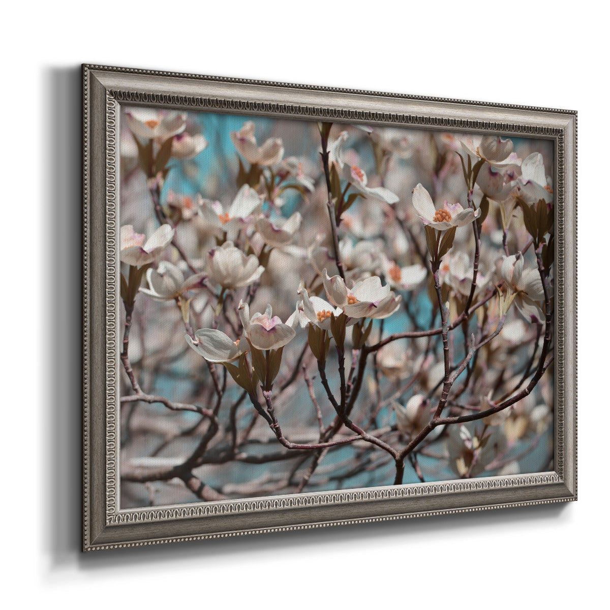Contemporary dogwood blossom floral photography printed on canvas in an ornate vintage silver frame.