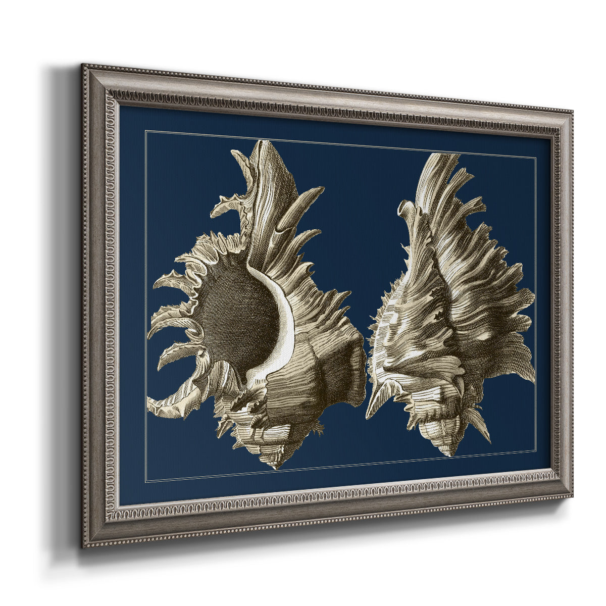 Vintage nautical conch shell artwork on navy background printed on canvas in an ornate vintage silver frame.