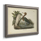 Antique reddish egret bird illustration by John James Audubon printed on canvas in an ornate vintage silver frame.