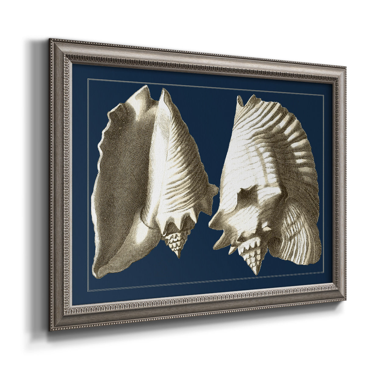 Vintage conch shell illustration on navy background printed on canvas in an ornate vintage silver frame.