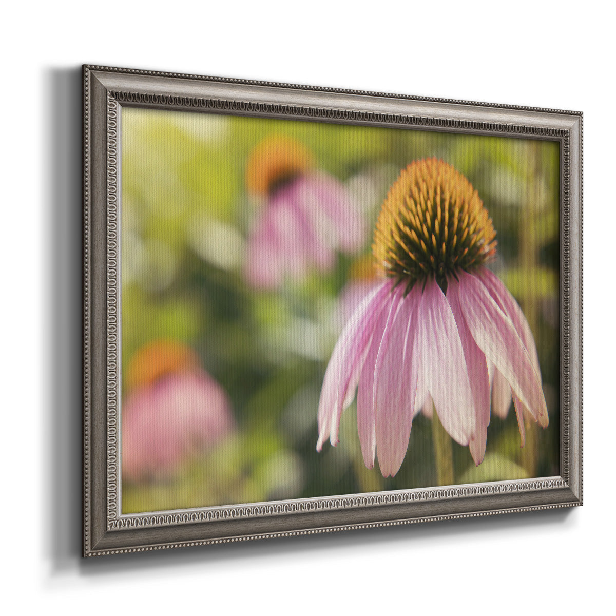 Echinacea flower botanical photography printed on canvas in an ornate vintage silver frame.