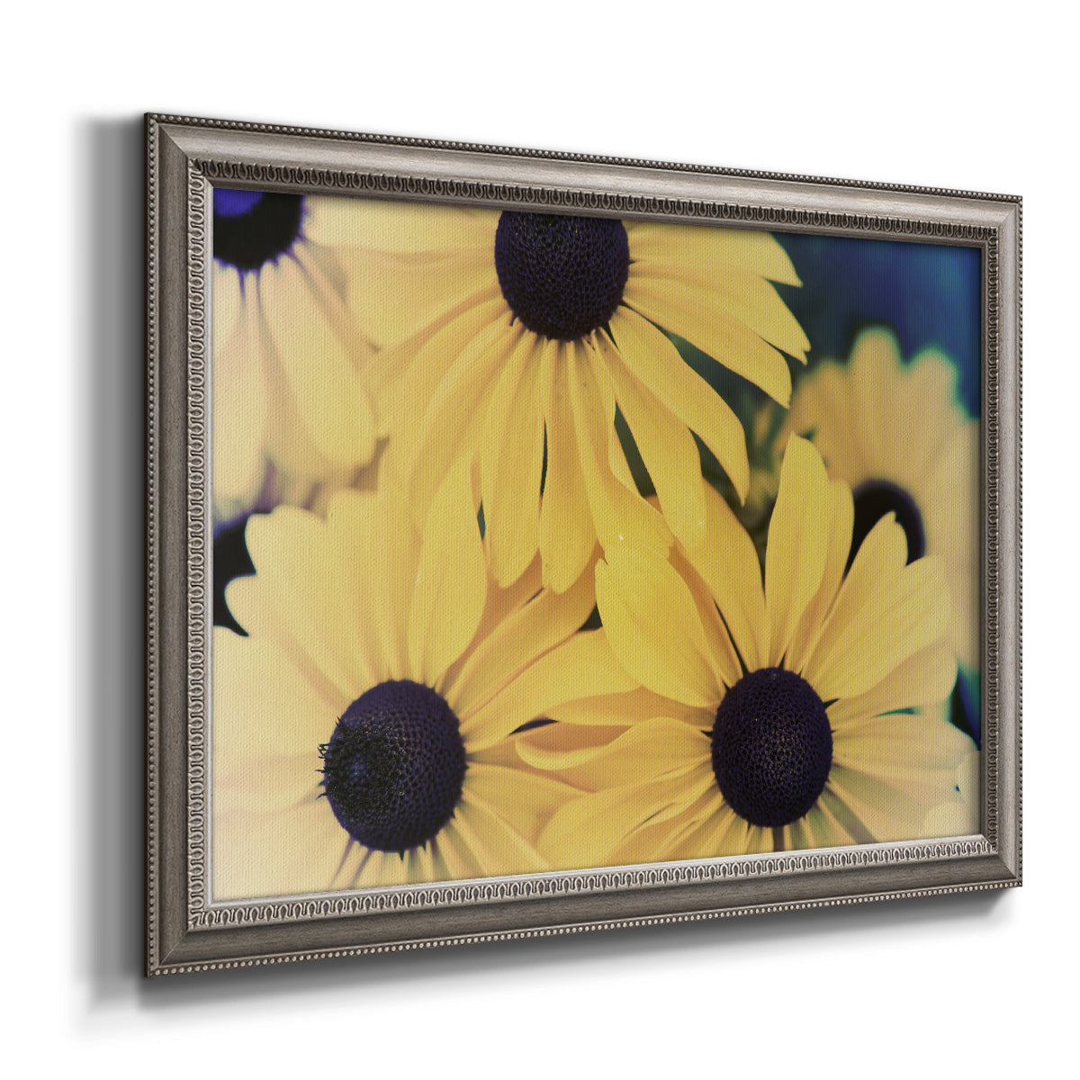 Modern sunflower-style Susan floral photograph printed on canvas in an ornate vintage silver frame.